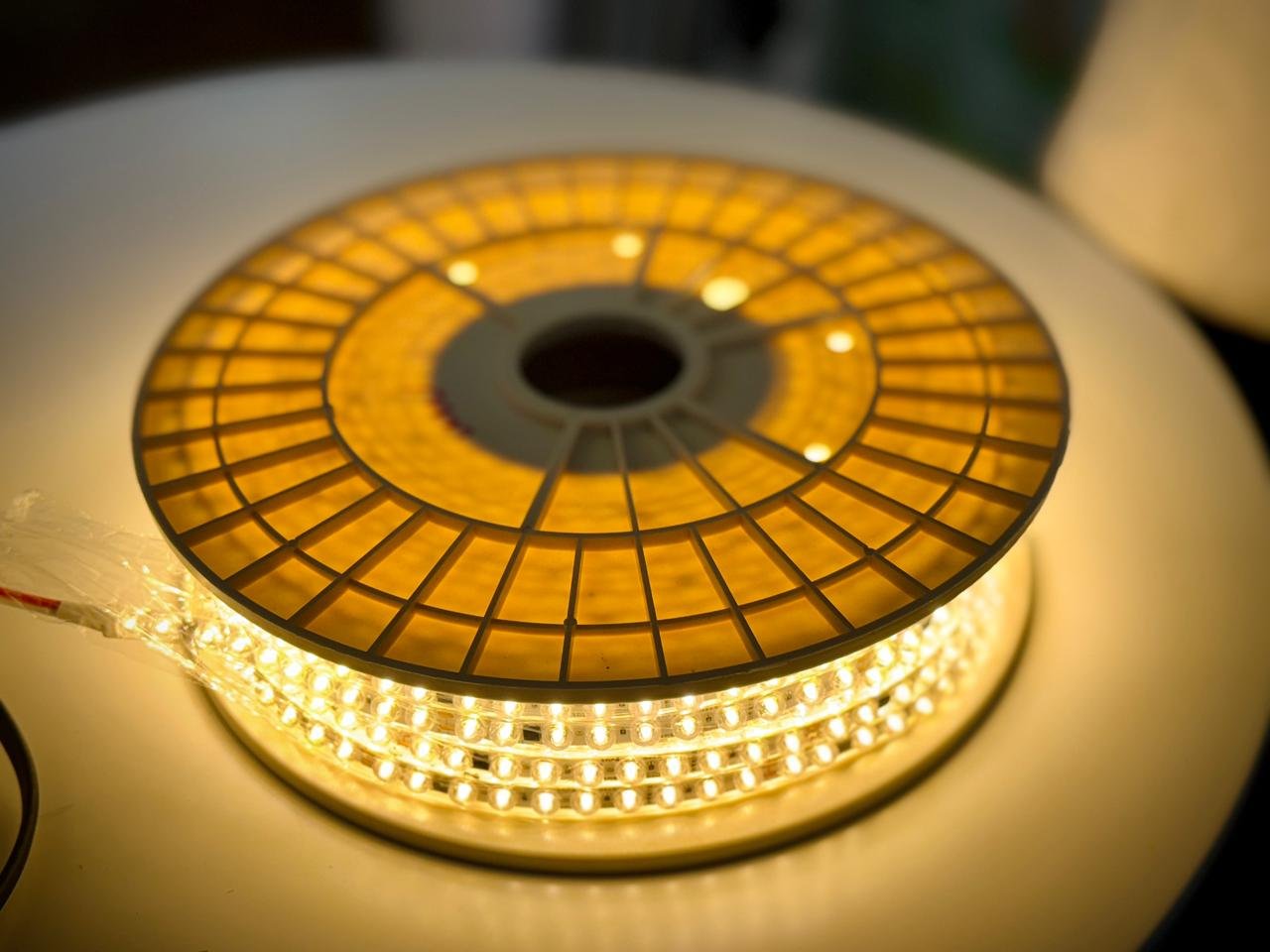 COB 220V view 2